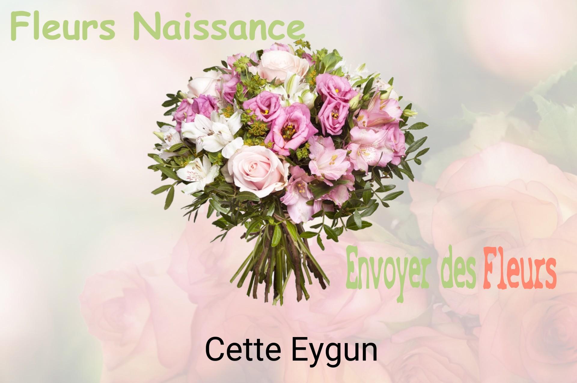 Bouquet de fleurs de naissance livré à Cette-Eygun